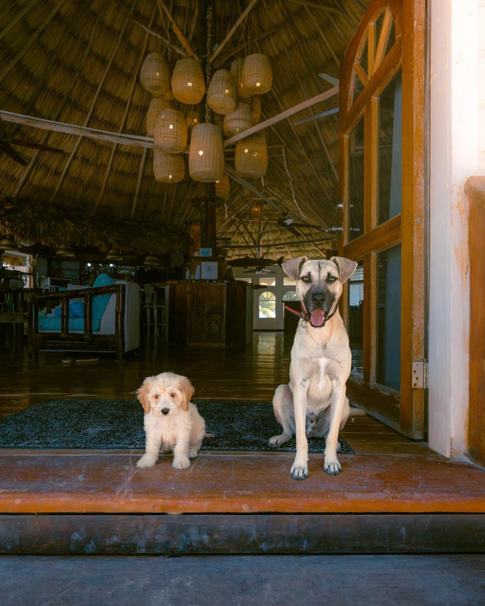 Thatch Caye Resort A Muy'Ono Resort Хопкинс Экстерьер фото